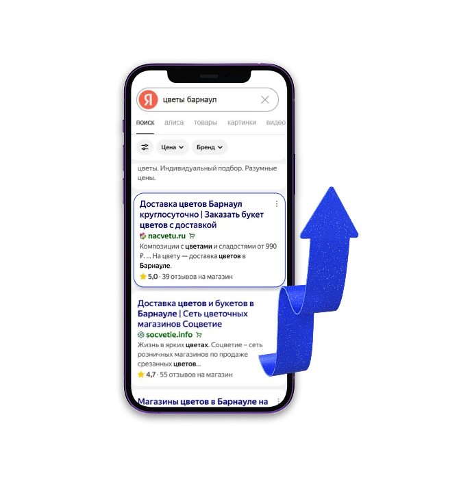 Продвижение сайтов (SEO)